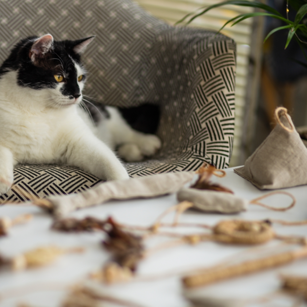 Zdjęcie The Miss Cat Organiczna zabawka Wild Cat dla kota  Loofah 24 cm