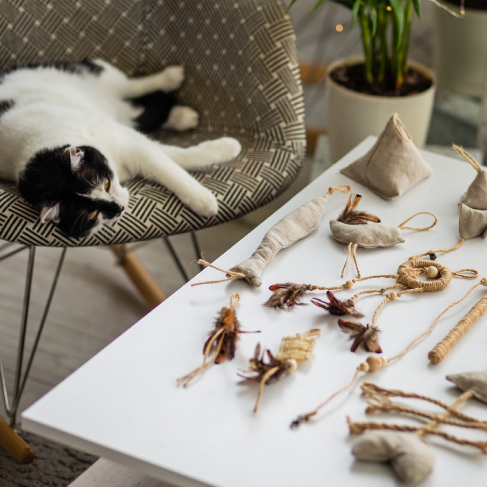Zdjęcie The Miss Cat Organiczna zabawka Wild Cat dla kota  Piramida Maxi 12 x 10 cm