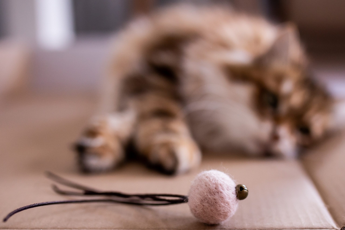 Zdjęcie The Miss Cat Piłeczki Wool Wool dla kota  jasnoróżowe 3 szt.