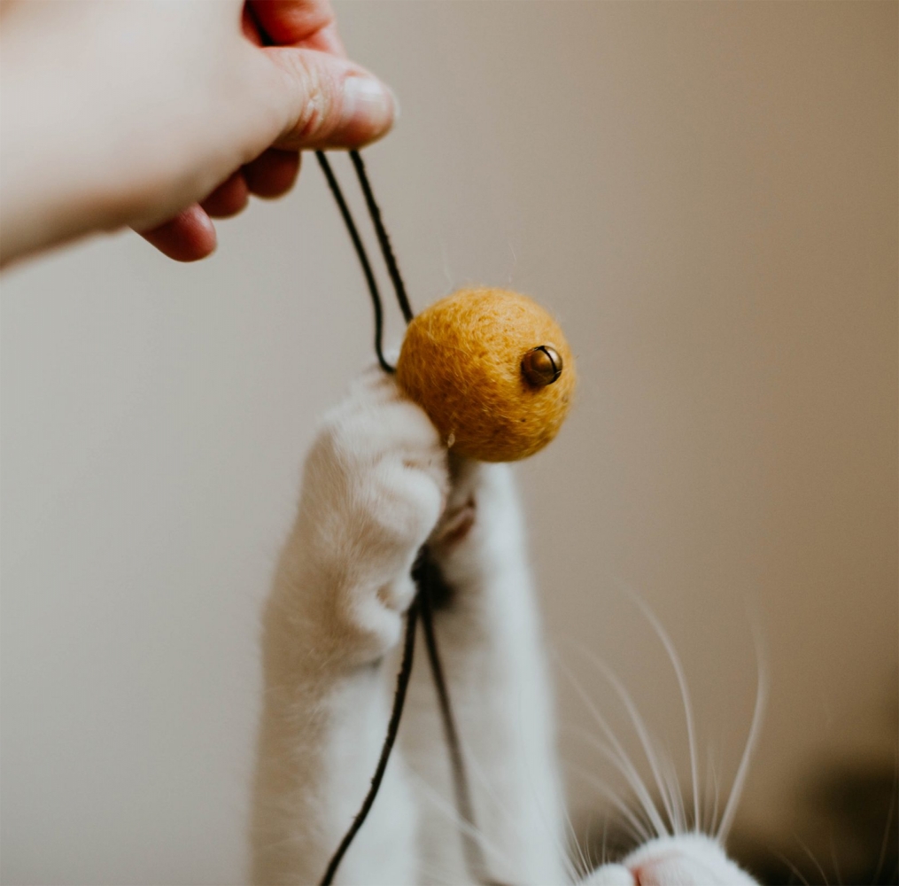 Zdjęcie The Miss Cat Piłeczki Wool Wool dla kota  musztardowe 3 szt.