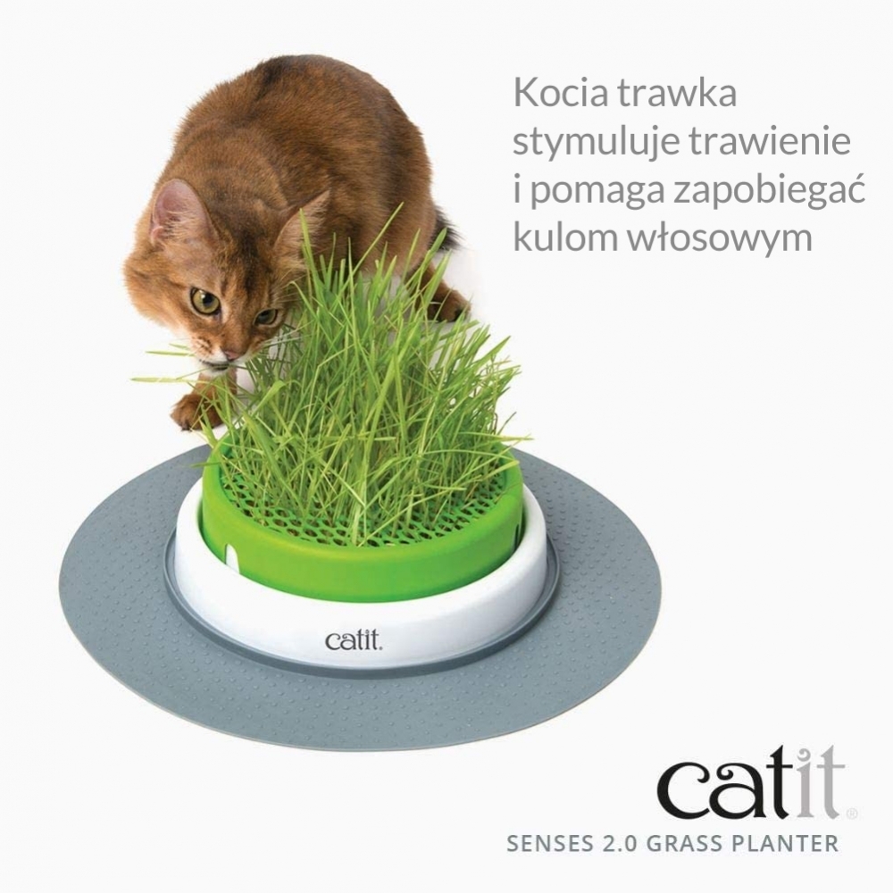Zdjęcie catit Senses 2.0 Grass Planter ogród z kocią trawką   śr. 37 cm