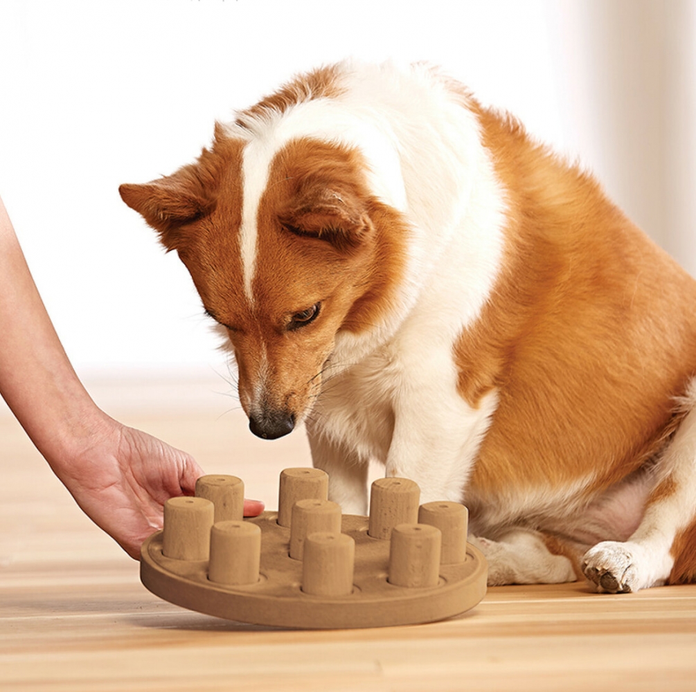 Zdjęcie Outward Hound Smart Dog Smart poziom 1 Nina Ottosson zabawka edukacyjna dla psa śr. 23 cm