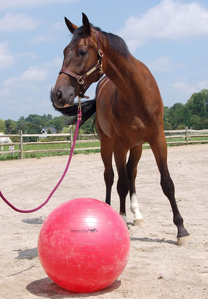 Zdjęcie Jolly Ball Mega Ball piłka gigant śr. 63,5 cm  czerwona 