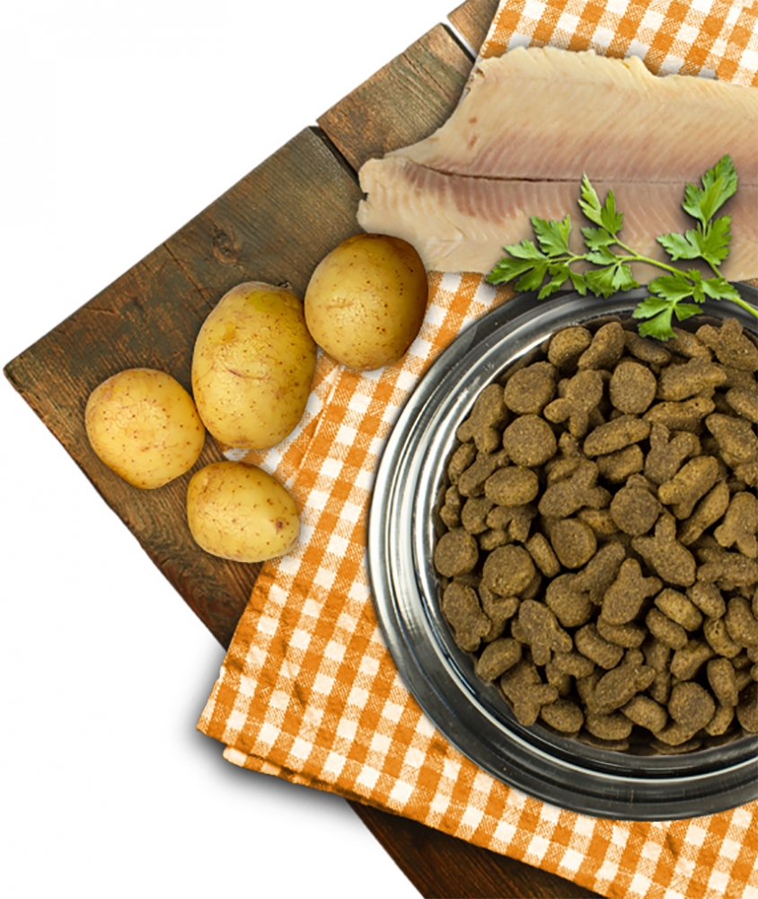 Zdjęcie Bosch Adult Fish & Potato  z rybą i ziemniakami 1kg