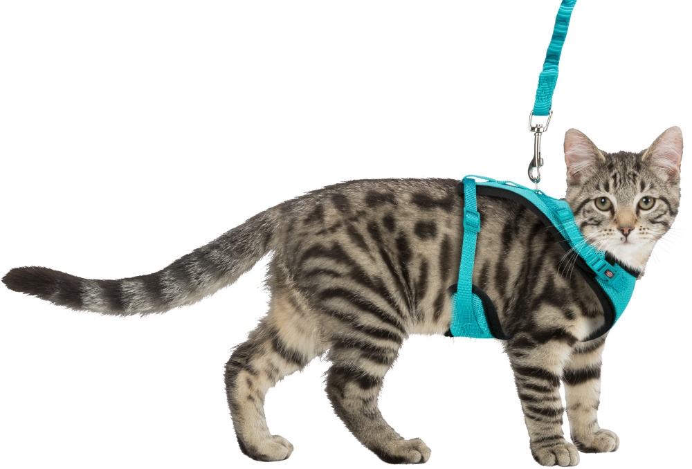 Zdjęcie Trixie Szelki Y-Mesh z elastyczną smyczą dla kota   39–60 cm/10 mm