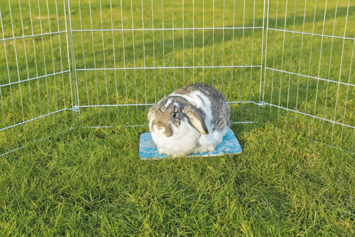 Zdjęcie Trixie Płytka chłodząca ceramiczna  dla dużych gryzoni i królików 28 x 20 cm