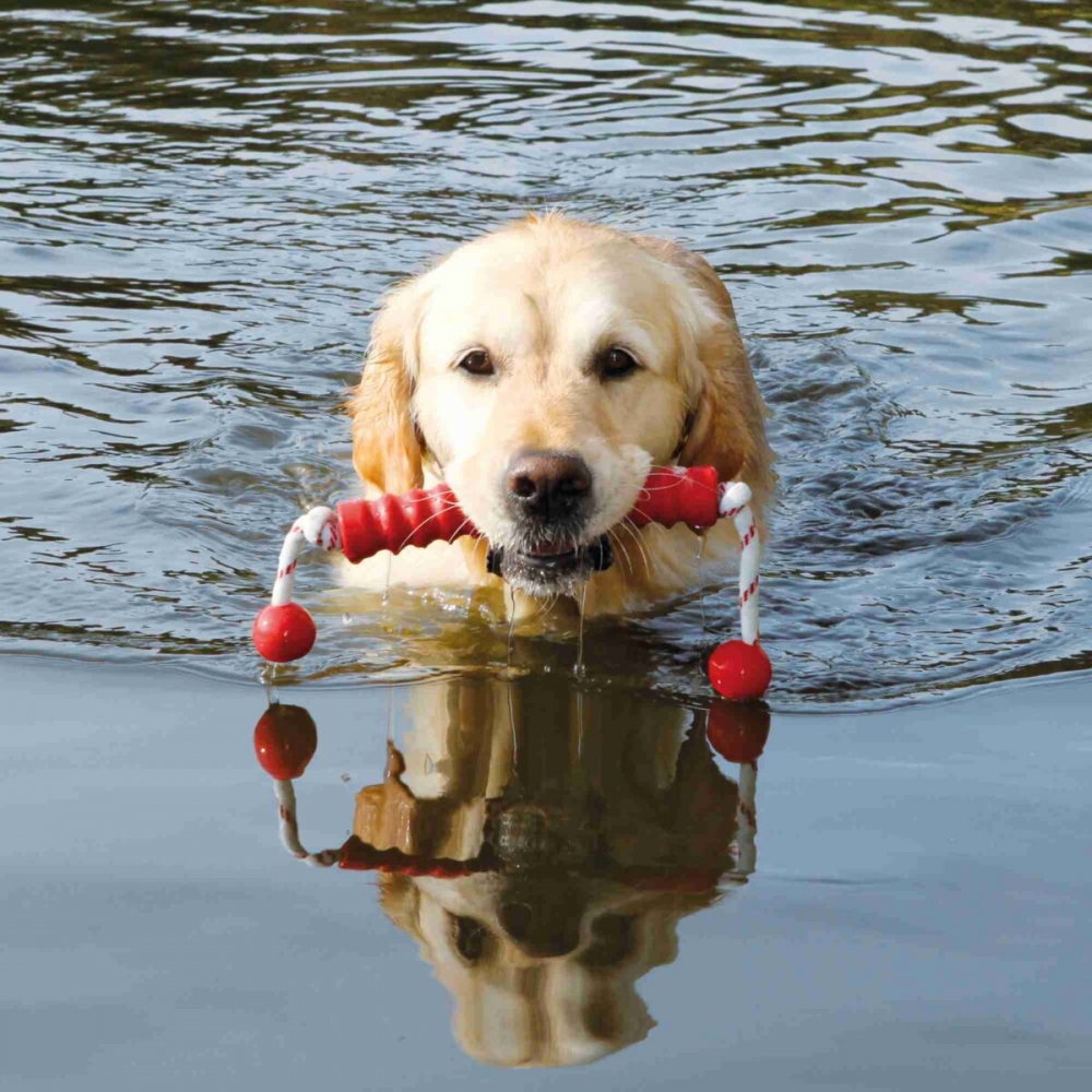Zdjęcie Trixie Long MOT® zabawka gumowa dla psa pływająca 20 cm 