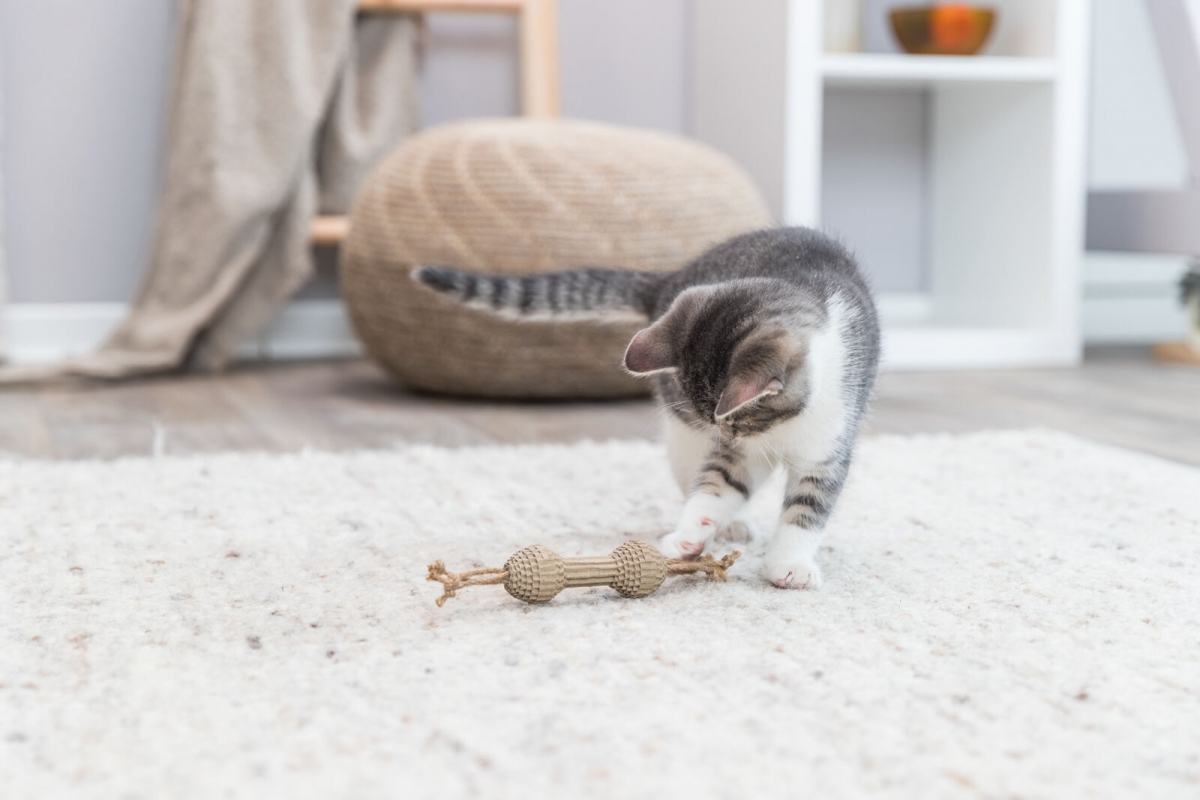 Zdjęcie Trixie Hantel zabawka z tektury i konopi dla kota  20 cm