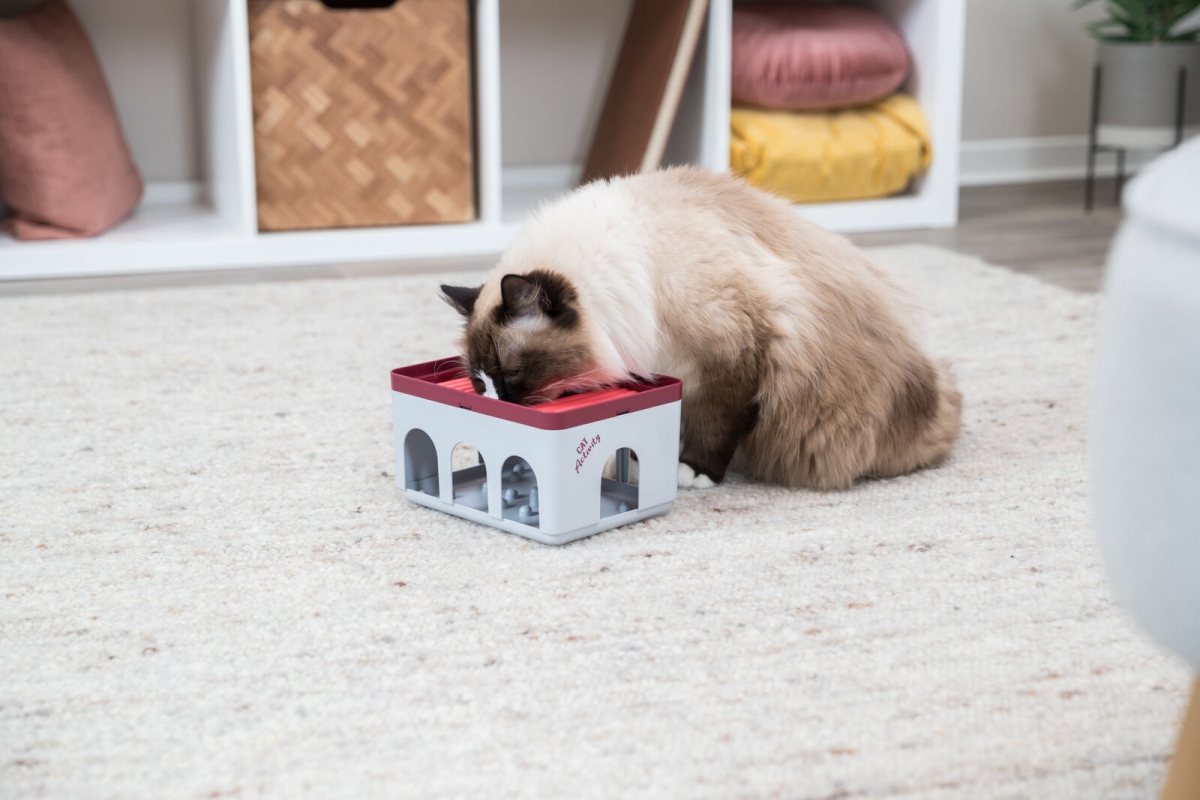 Zdjęcie Trixie Cat Activity zabawka edukacyjna dla kota  Rod Box 20 x 12 x 16 cm