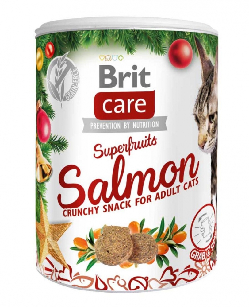Zdjęcie Brit Cat Christmas Snack Superfruits Salmon świąteczne ciasteczka dla kotów łosoś, cynamon i żurawina 100g