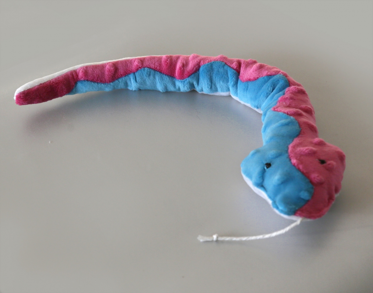 Zdjęcie Kotul Craft Dziki Wąż XXL z kocimiętką zabawka kopacz dla kota  różowy mix 44,5 cm cm