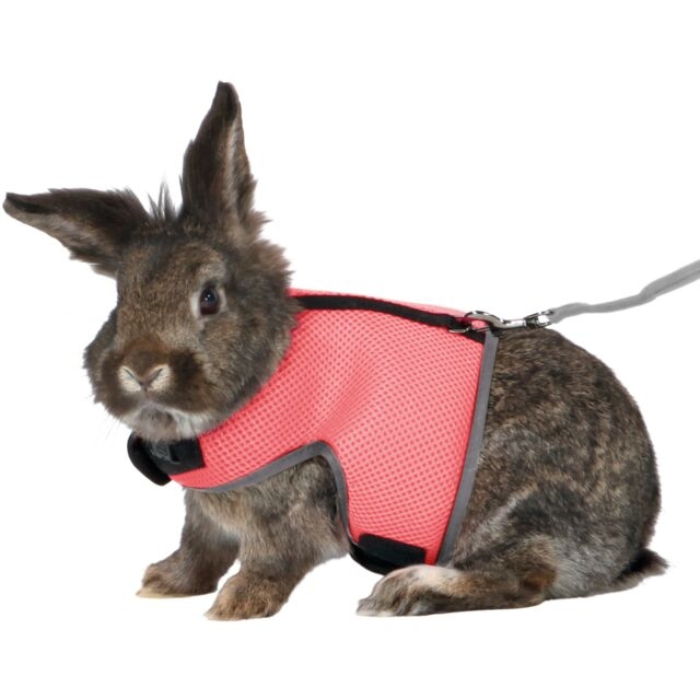Zdjęcie Trixie Szelki pełne ze smyczą  dla królika dużego 25–40 cm