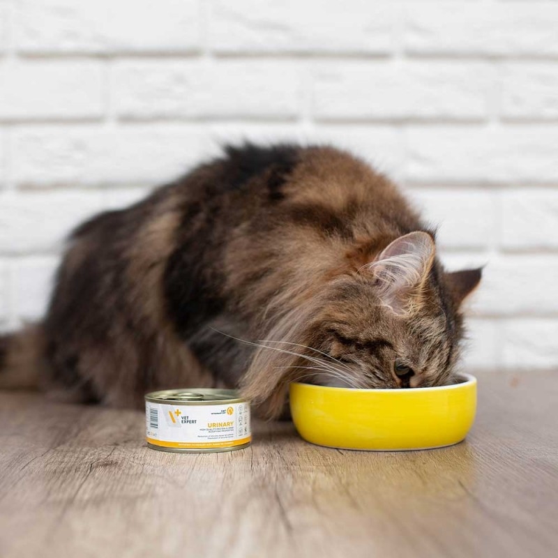 Zdjęcie 4T Vet Diet Urinary Cat puszka pasztet z wołowiną i indykiem 100g