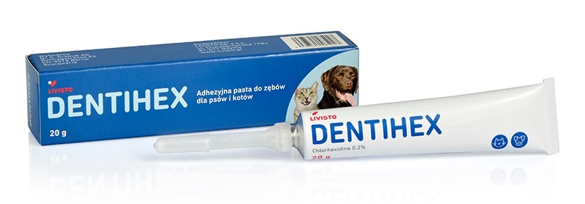 Zdjęcie Livisto Dentihex adhezyjna pasta do zębów  dla psów i kotów 20g