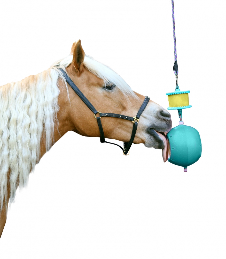 Zdjęcie Likit Boredom Breaker lizawka z piłką dla konia aqua 