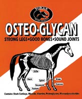 Foran Osteo Glycan  1kg