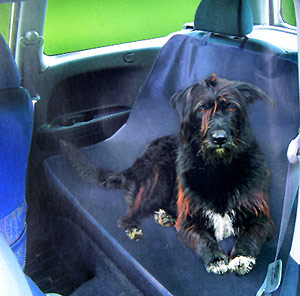 Zdjęcie Top Mark Pokrowiec na tylne siedzenie samochodu  150x145cm 