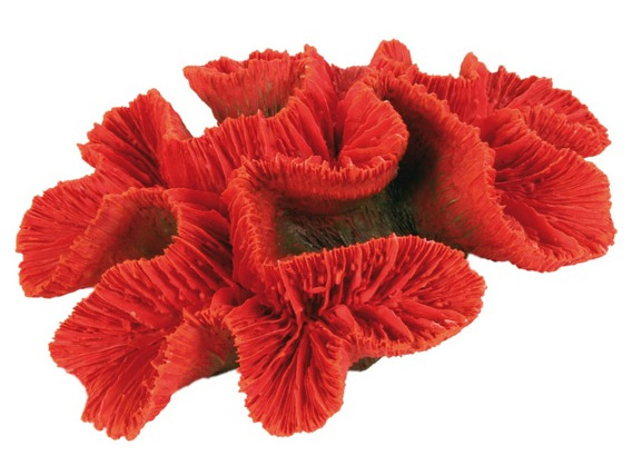 Zdjęcie Trixie Dekoracja koralowiec płaski   16 cm