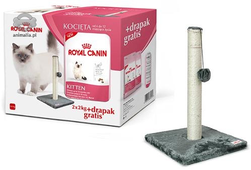 Zdjęcie Royal Canin Kitten Promocja: Drapak dla kota  2x 2kg