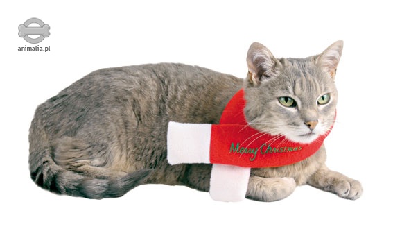 Zdjęcie Trixie Świąteczny szaliczek Merry Christmas  dla psa lub kota  S