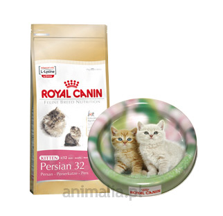 Zdjęcie Royal Canin PROMOCJA: Kitten Persian 32 + miseczka   400g