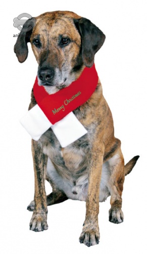 Zdjęcie Trixie Świąteczny szaliczek Merry Christmas  dla psa M