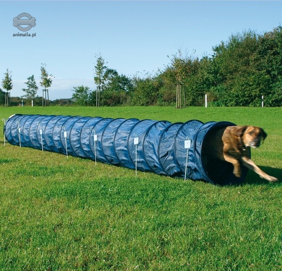 Zdjęcie Trixie Dog Activity Agility tunel dla psa   niebieski 5 m / śr 60 cm 