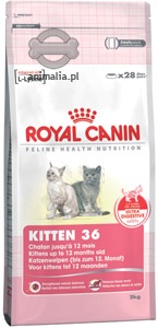 Zdjęcie Royal Canin Promocja: Kitten   400g + 400g