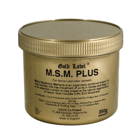 Gold Label MSM Plus preparat wzmacniający stawy  250g