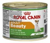 Zdjęcie Royal Canin Mini Adult Beauty karma mokra  healthy skin 195g