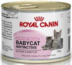 Zdjęcie Royal Canin Puszka Mother & Babycat  dla kociąt i kotek w ciąży 195g