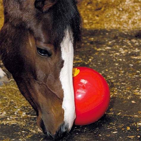 Zdjęcie Likit Snack-A-Ball piłka na przysmaki  czerwona 