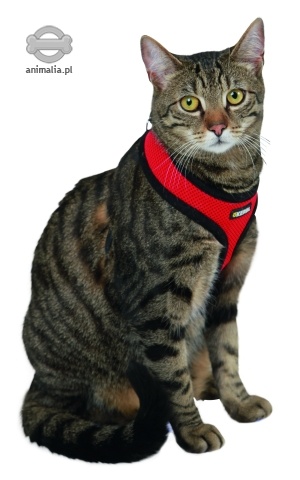 Zdjęcie Kerbl Cat Activ uprząż dla kota  czerwona 34 – 44 cm