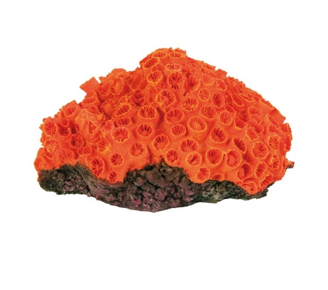 Zdjęcie Trixie Dekoracja koralowce 4 sztuki komplet 10-13 cm 