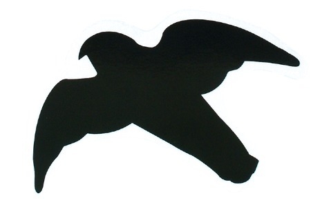 Zdjęcie Trixie Naklejki sylwetki ptaków drapieżnych  na szybę 3 szt.