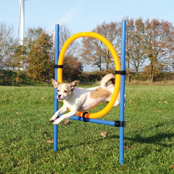 Zdjęcie Trixie Dog Activity Agility ring dla psa   niebiesko-pomarańczowy 115 cm/ śr 65 cm