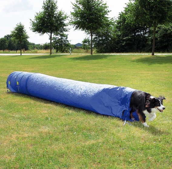 Trixie Dog Activity Agility tunel-rękaw dla psa  niebieski 5 m / śr 60 cm