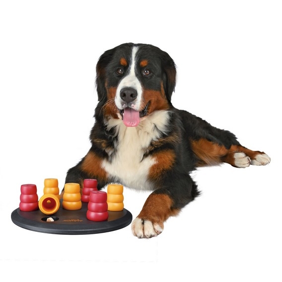 Zdjęcie Trixie Dog Activity zabawka edukacyjna dla psa Poziom 1 Solitaire 29 cm