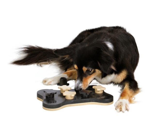 Zdjęcie Trixie Dog Activity zabawka edukacyjna dla psa Poziom 1 i 2 Game Bone 31 x 20 cm 