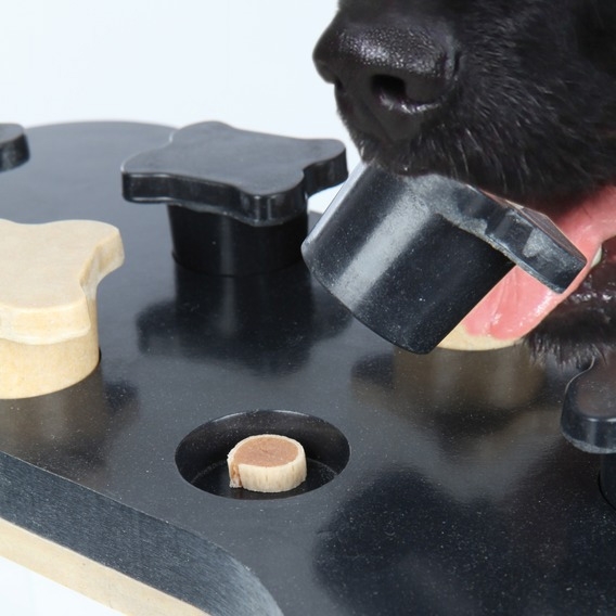Zdjęcie Trixie Dog Activity zabawka edukacyjna dla psa Poziom 1 i 2 Game Bone 31 x 20 cm 