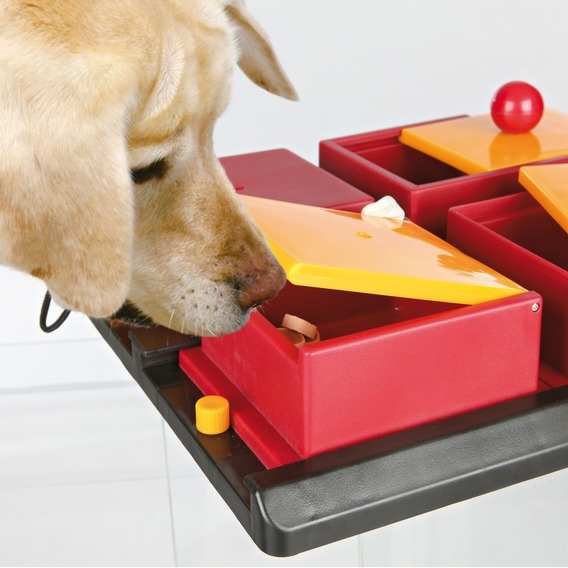 Zdjęcie Trixie Dog Activity zabawka edukacyjna dla psa Poziom 2 Poker Box 31 x 31 x 10 cm 
