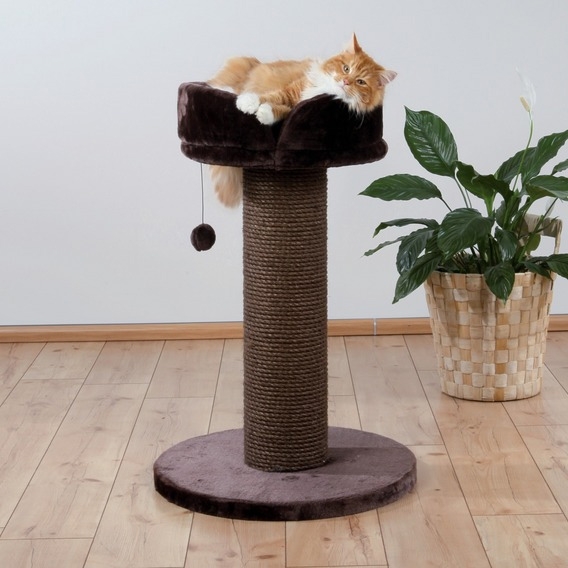 Zdjęcie Trixie Drapak Pepino dla dużych kotów  brązowy wys. 89 cm