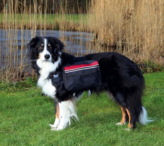 Trixie Plecak dla psa rozmiar L czarny z motywem 28 x 18 cm