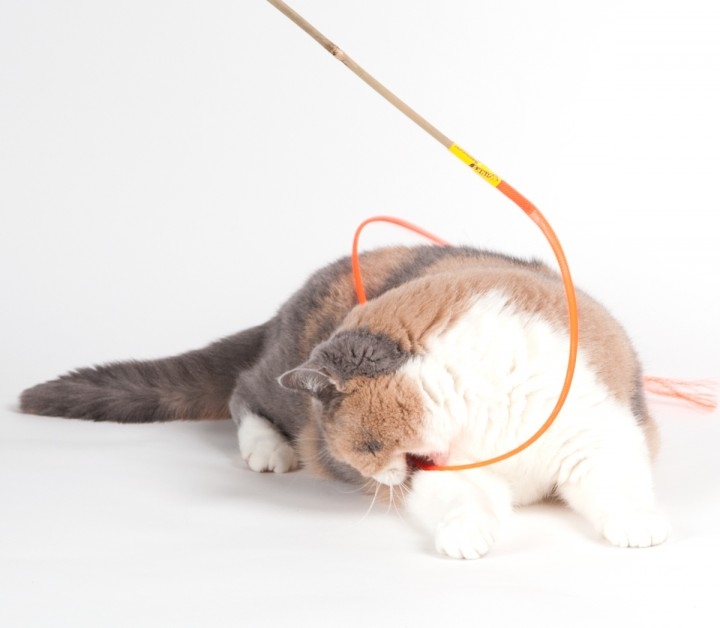 Zdjęcie Schulze Wędka dla kota Boinks Bamboozler  kolorowe 100 cm