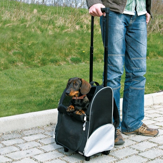 Zdjęcie Trixie Trolley wózek / plecak transportowy  dla psa lub kota 36 x 27 x 50 cm