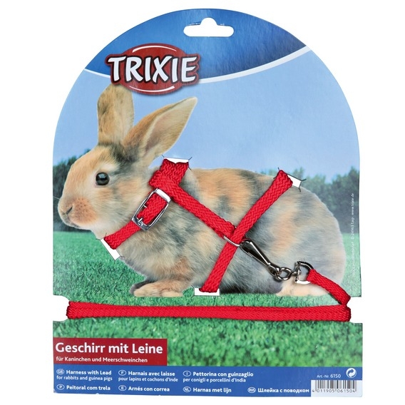 Trixie Szelki ze smyczą dla królika lub świnki morskiej 25–44 cm/8 mm