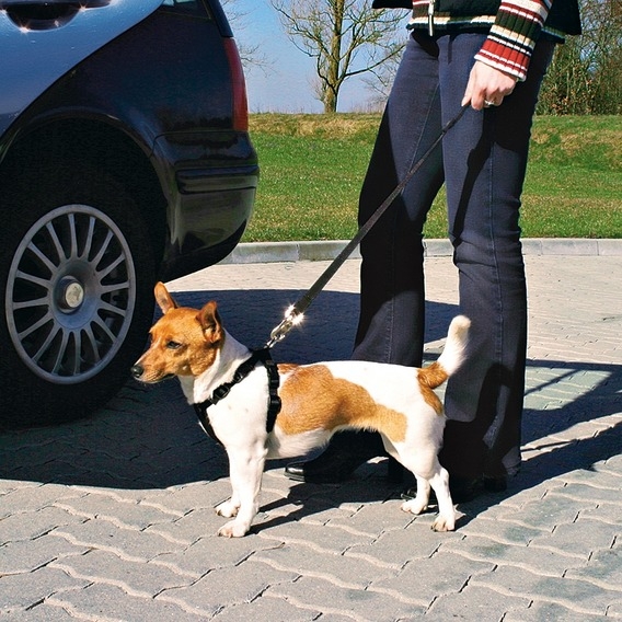 Trixie Szelki samochodowe dla psa rozmiar M (50-70 cm)