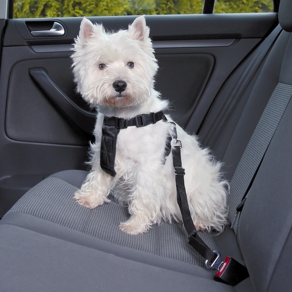 Zdjęcie Trixie Szelki samochodowe dla psa  rozmiar M (50-70 cm) 