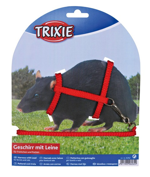 Zdjęcie Trixie Szelki ze smyczą  dla szczurka lub fretki 12–25 cm/8 mm