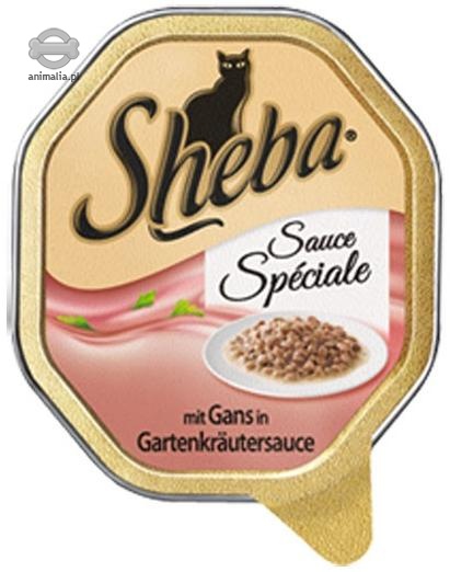 Zdjęcie Sheba Sauce Speciale  frykas z gęsią w ziołach 100g